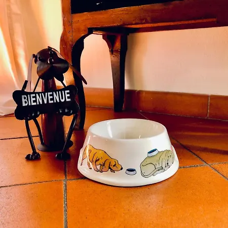 Historical J&d 公寓 佛罗伦萨